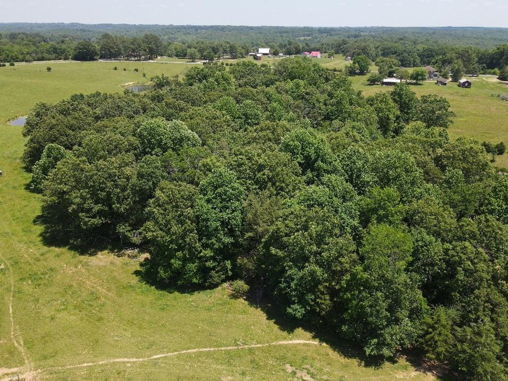 Image for ** SOLD PRIOR TO AUCTION**  Selling For The Estate of Robert Owen 152.97 Ac in Brookneal, VA