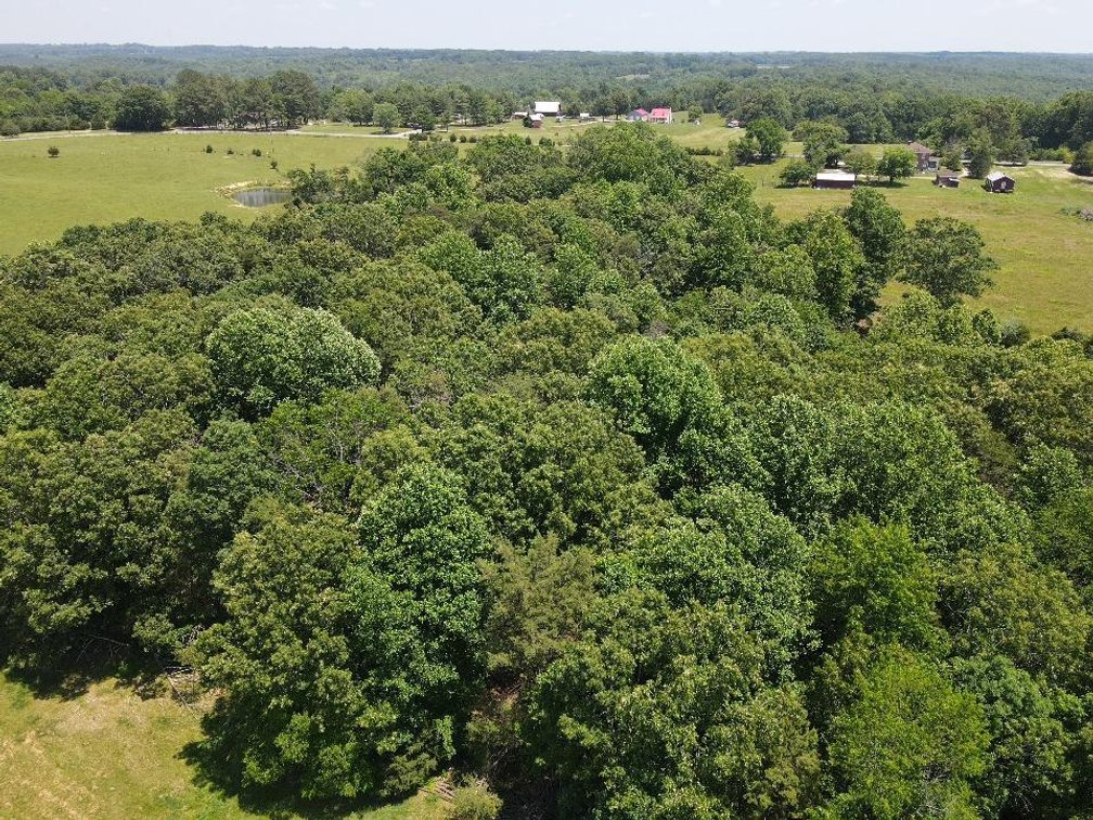 Image for ** SOLD PRIOR TO AUCTION**  Selling For The Estate of Robert Owen 152.97 Ac in Brookneal, VA
