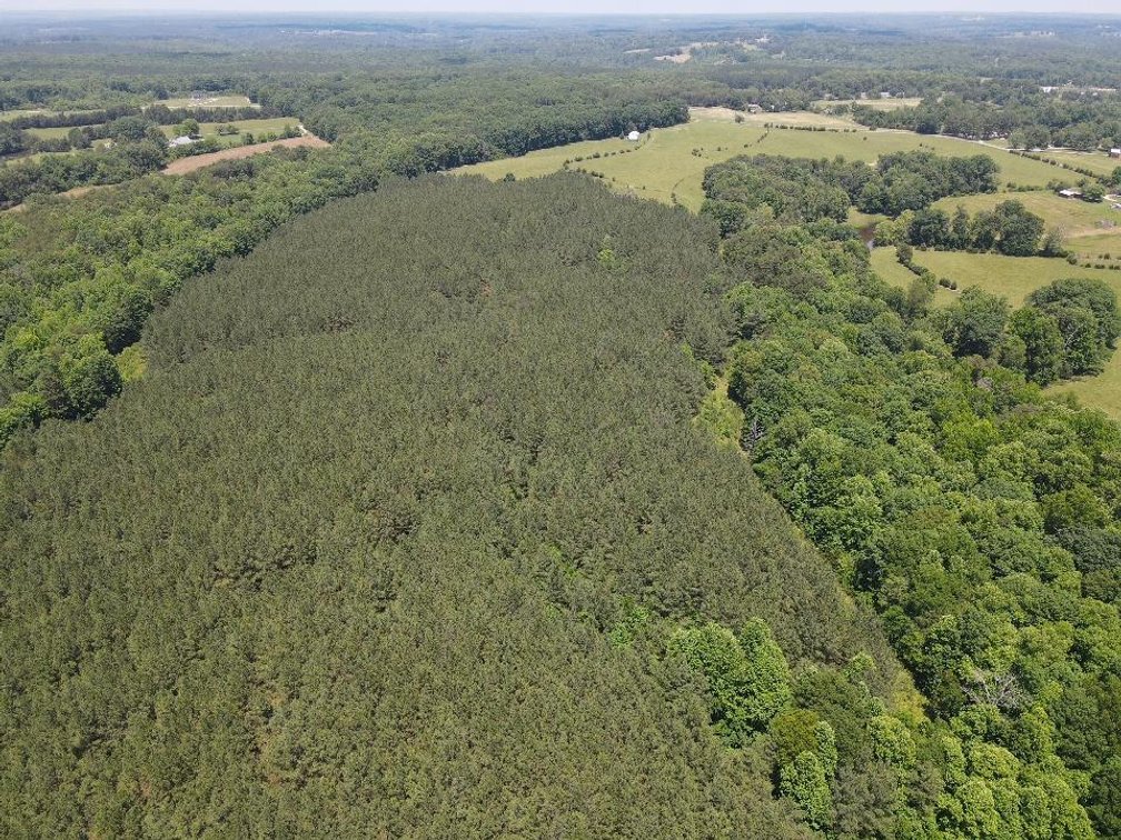 Image for ** SOLD PRIOR TO AUCTION**  Selling For The Estate of Robert Owen 152.97 Ac in Brookneal, VA