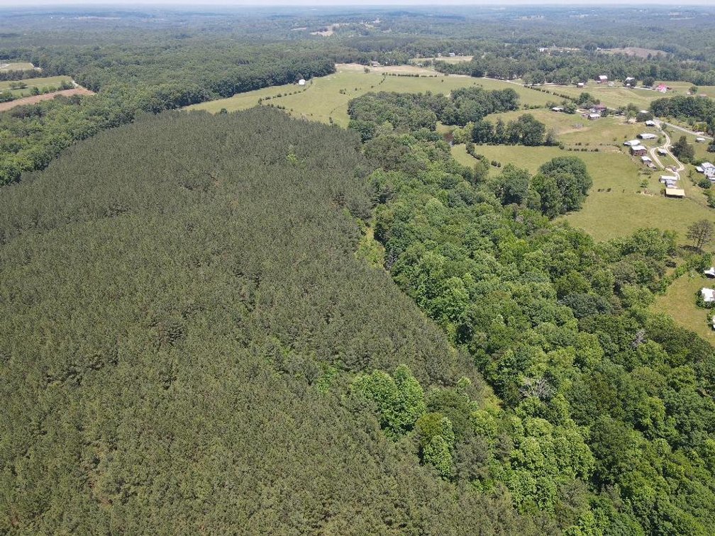Image for ** SOLD PRIOR TO AUCTION**  Selling For The Estate of Robert Owen 152.97 Ac in Brookneal, VA