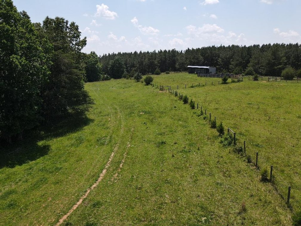 Image for ** SOLD PRIOR TO AUCTION**  Selling For The Estate of Robert Owen 152.97 Ac in Brookneal, VA