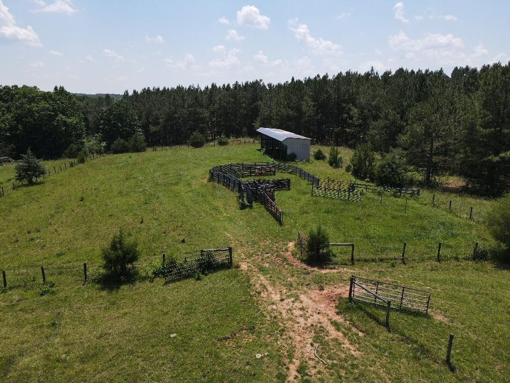 Image for ** SOLD PRIOR TO AUCTION**  Selling For The Estate of Robert Owen 152.97 Ac in Brookneal, VA