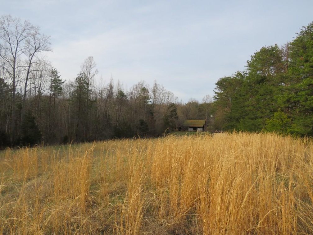 Image for Nathalie Estate Auction - Home on 70.82 Ac in Nathalie, VA