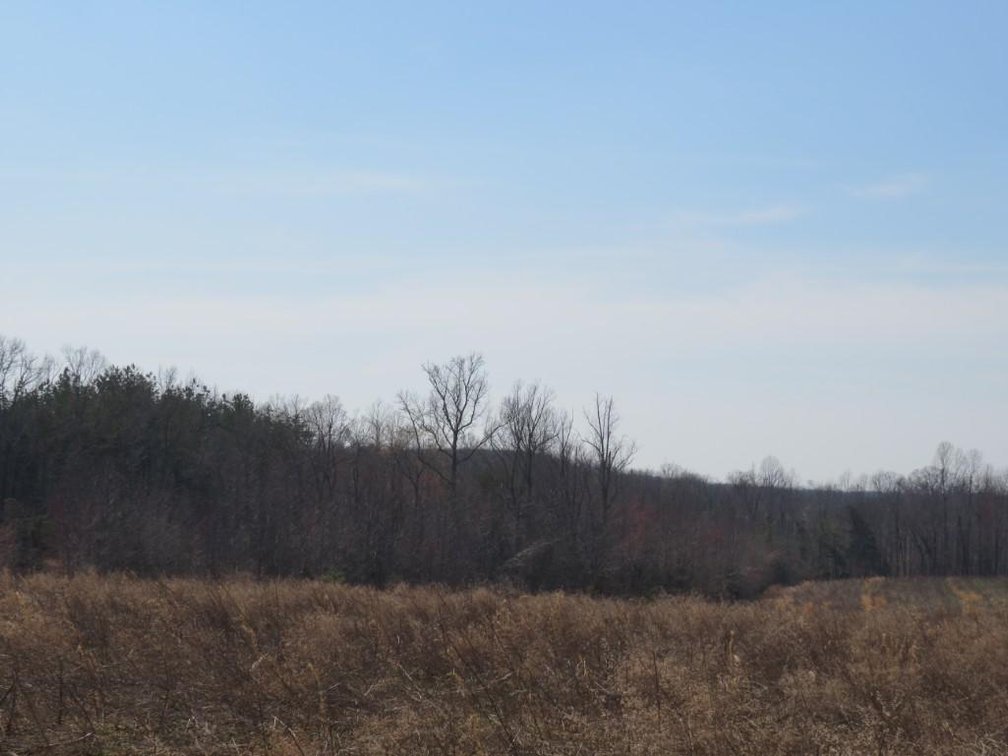 Image for Stovall Farm Land Sale