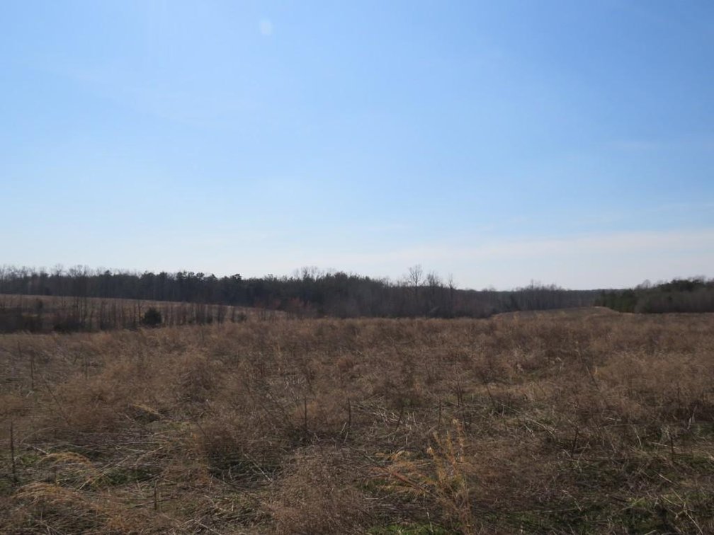 Image for Stovall Farm Land Sale