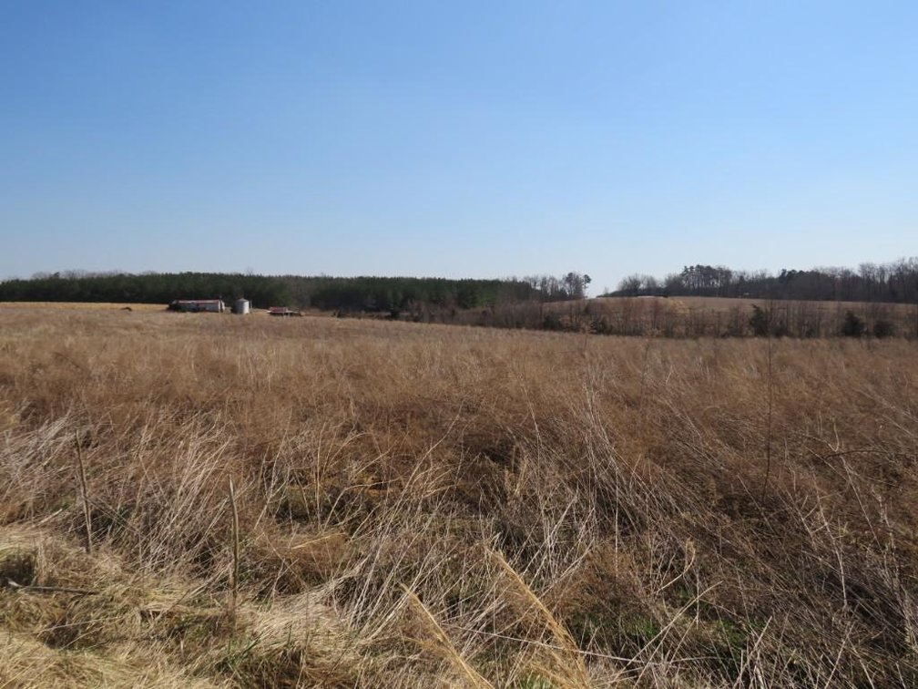 Image for Stovall Farm Land Sale
