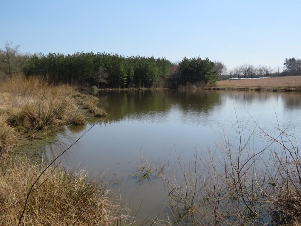 Image for Stovall Farm Land Sale