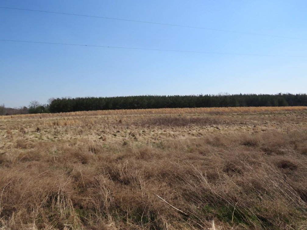 Image for Stovall Farm Land Sale