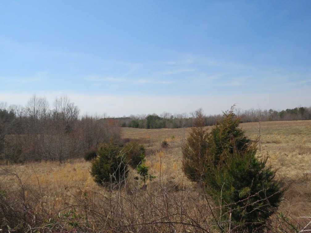Image for Stovall Farm Land Sale