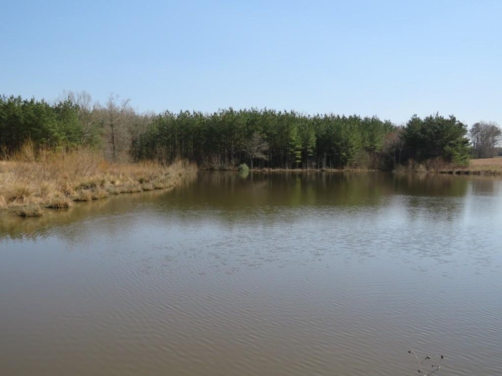 Image for Stovall Farm Land Sale
