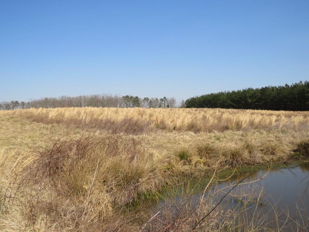 Image for Stovall Farm Land Sale