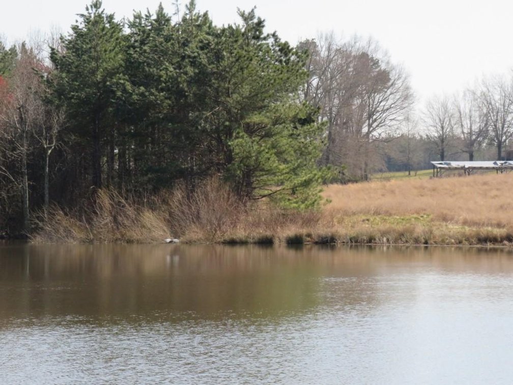 Image for Stovall Farm Land Sale