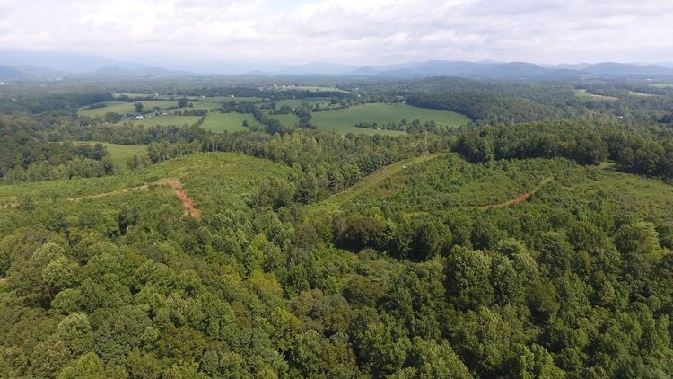 Image for 55.73 +/- Acres - Two Houses, Mature Timber, 1.2 Acre Pond, Beautiful Views