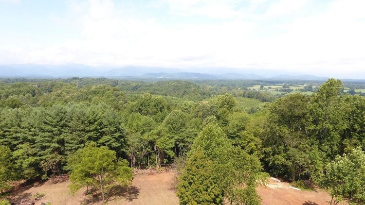 Image for 55.73 +/- Acres - Two Houses, Mature Timber, 1.2 Acre Pond, Beautiful Views