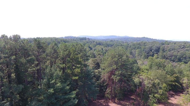 Image for 55.73 +/- Acres - Two Houses, Mature Timber, 1.2 Acre Pond, Beautiful Views