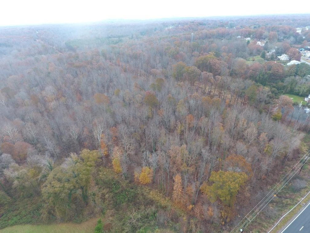 Image for 10 + Acre Land Auction in Monroe, VA