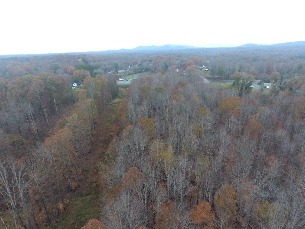 Image for 10 + Acre Land Auction in Monroe, VA