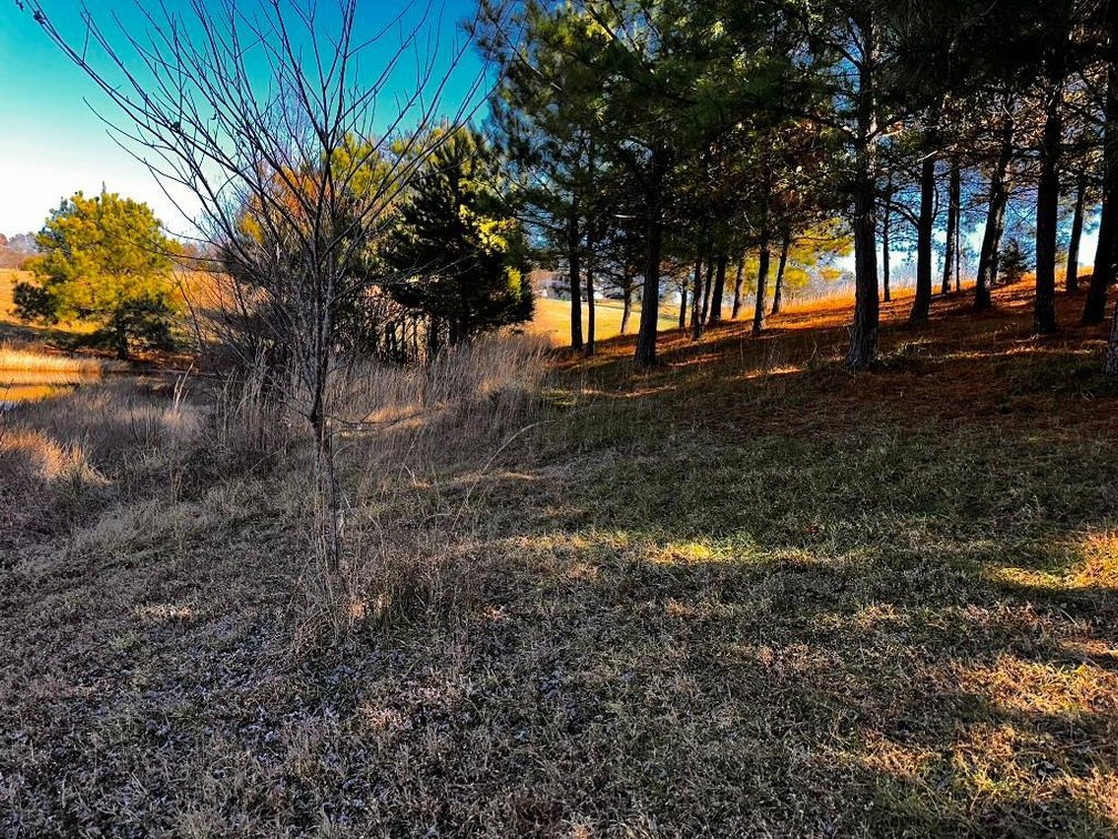 Image for **UNDER CONTRACT** House on 25 Acres Appomattox Va 3 Buildings with Pond