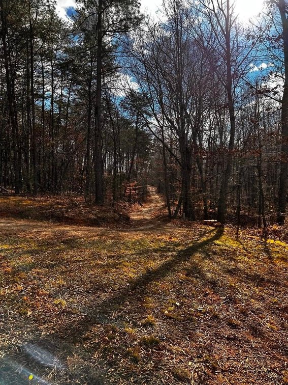 Image for House On 8 +/- Acres Callands VA