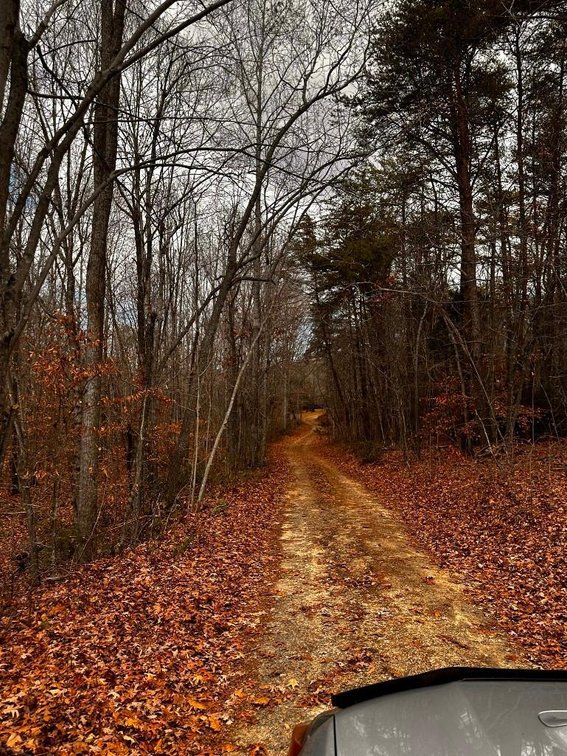 Image for House On 8 +/- Acres Callands VA