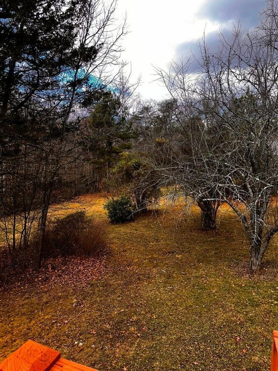 Image for House On 8 +/- Acres Callands VA