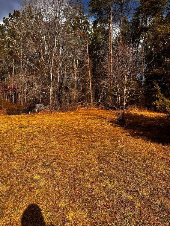 Image for House On 8 +/- Acres Callands VA