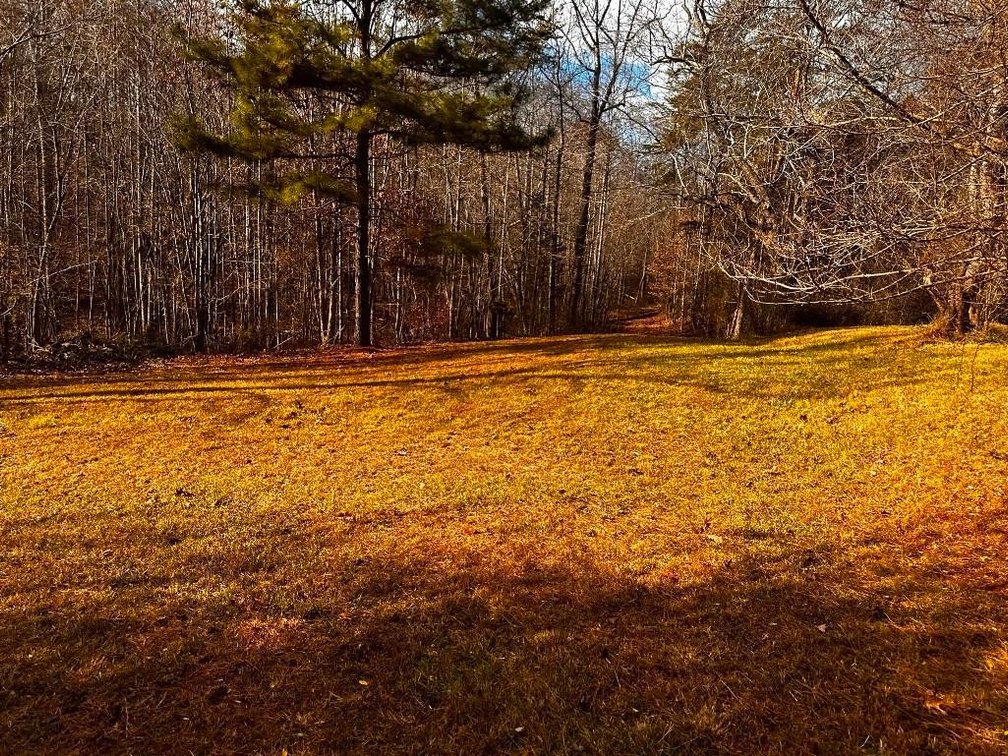 Image for House On 8 +/- Acres Callands VA