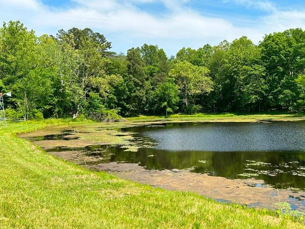 Image for Bonterra Horse Farms Real Estate  Liquidation
