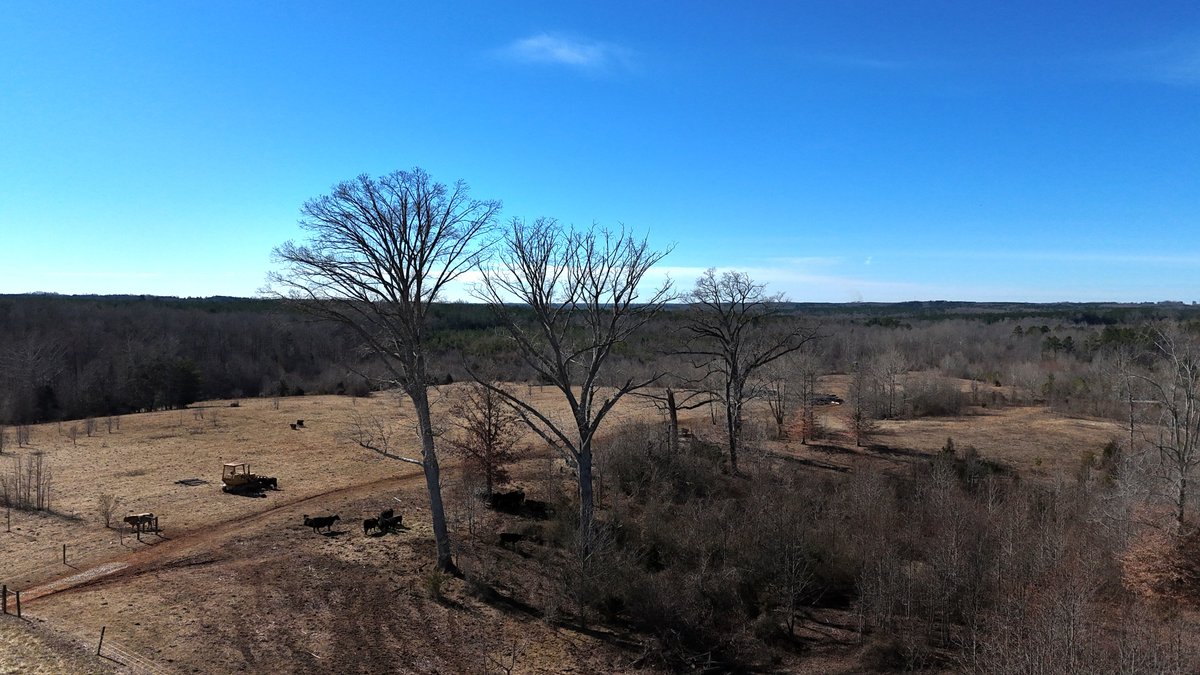 Image for 1081 Lennig Road, Nathalie, VA 24577