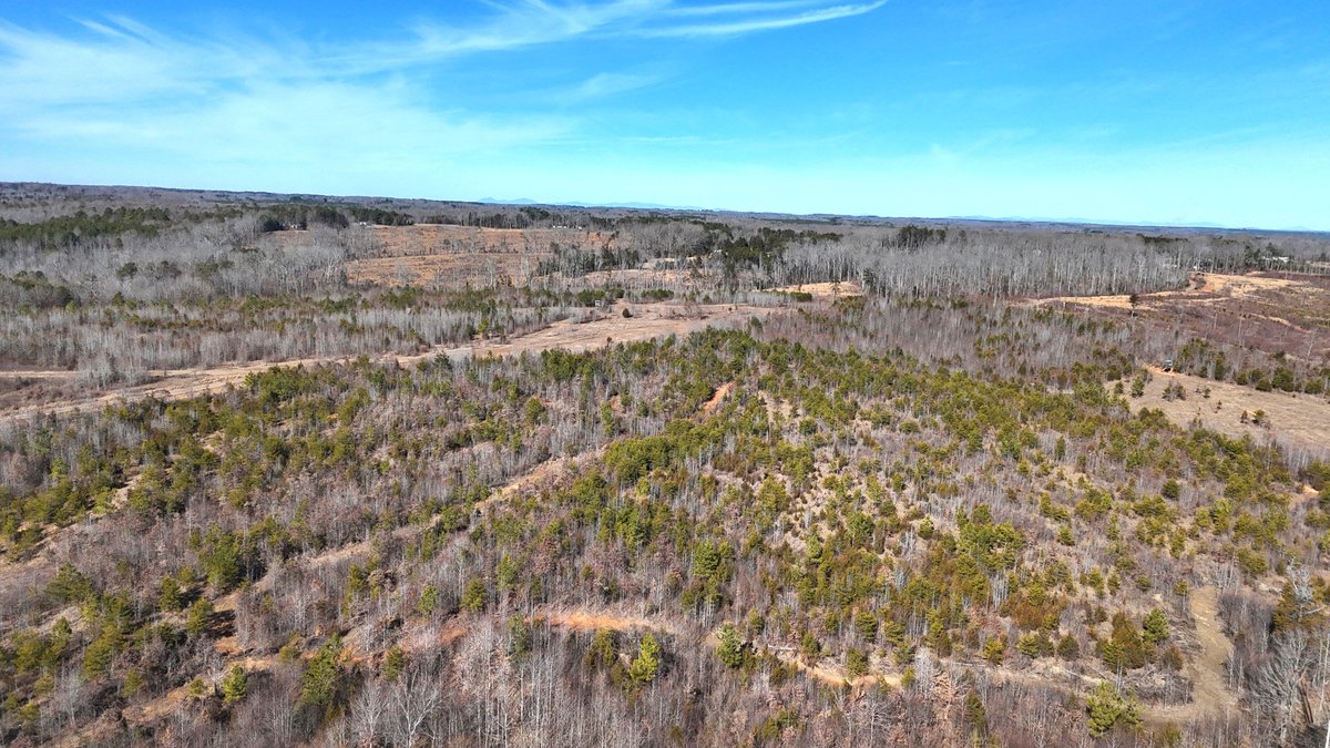 Image for 1081 Lennig Road, Nathalie, VA 24577