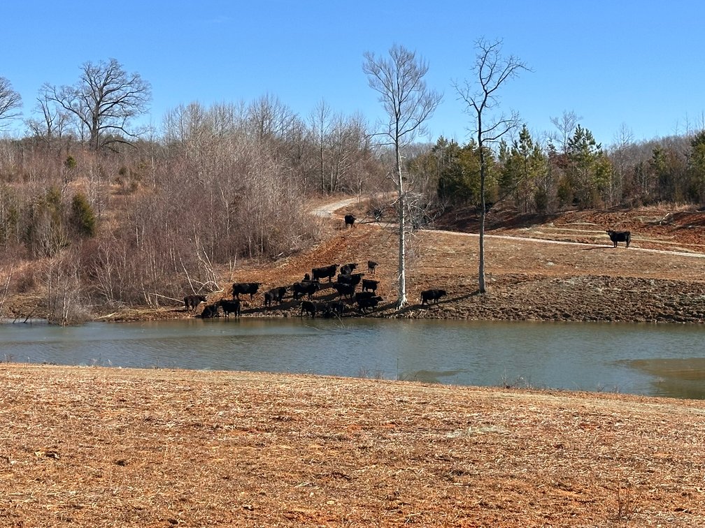 Image for 1081 Lennig Road, Nathalie, VA 24577