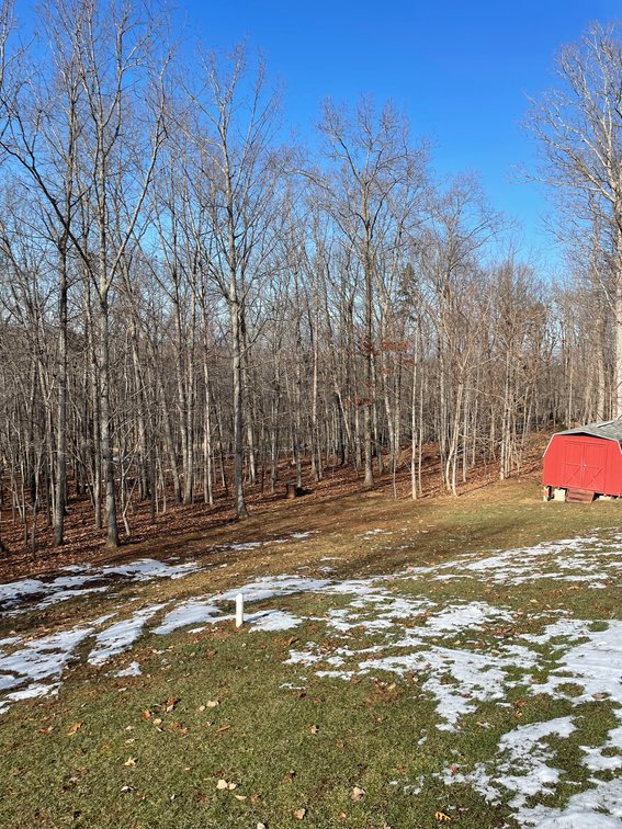 Image for 215 Chevy Ln, Lynchburg, VA 24501
