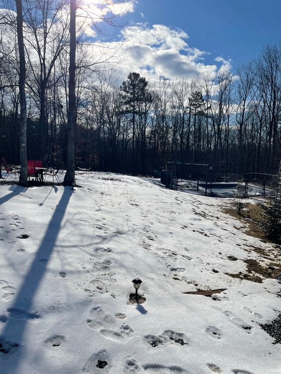 Image for 215 Chevy Ln, Lynchburg, VA 24501