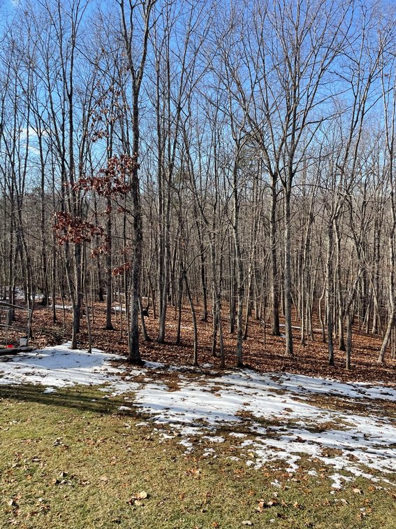 Image for 215 Chevy Ln, Lynchburg, VA 24501