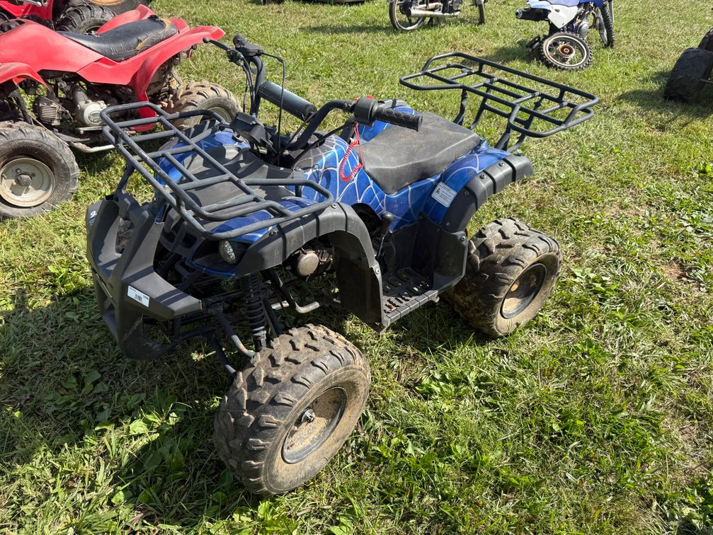 Tao Motor Youth ATV