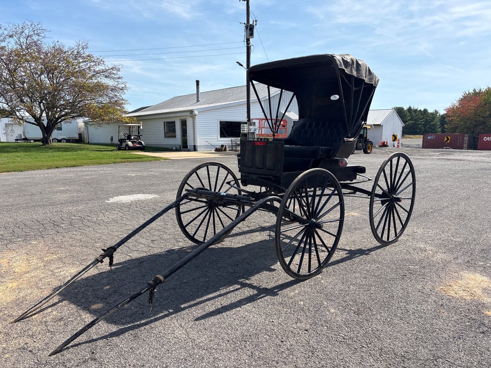 Horse-Drawn Carriage Buggy with Folding Canopy Top
