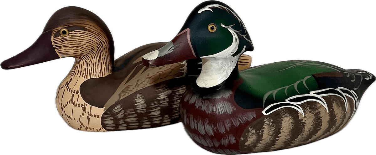 Two Colorful Wooden Ducks