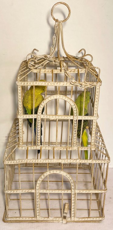 Wire Bird Cage with Fake Birds