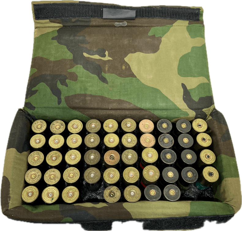 A Variety of Shotgun Shells with Case