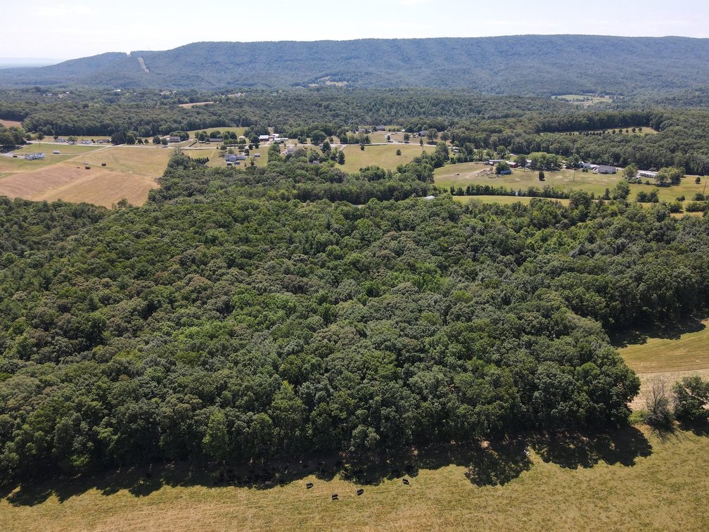 Image for Beautiful WV Mountain Home Online Reserve Auction!