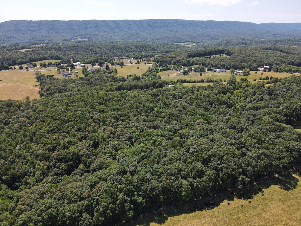 Image for Beautiful WV Mountain Home Online Reserve Auction!