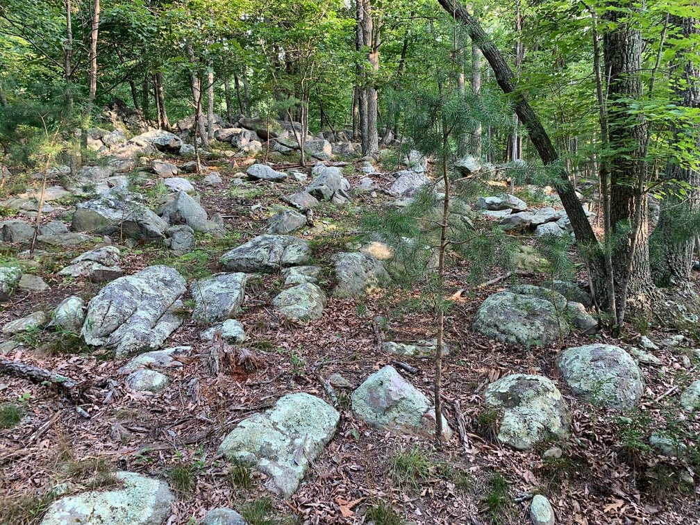 Image for 11.07 Acre Land Auction!  Online Only Reserve Auction!