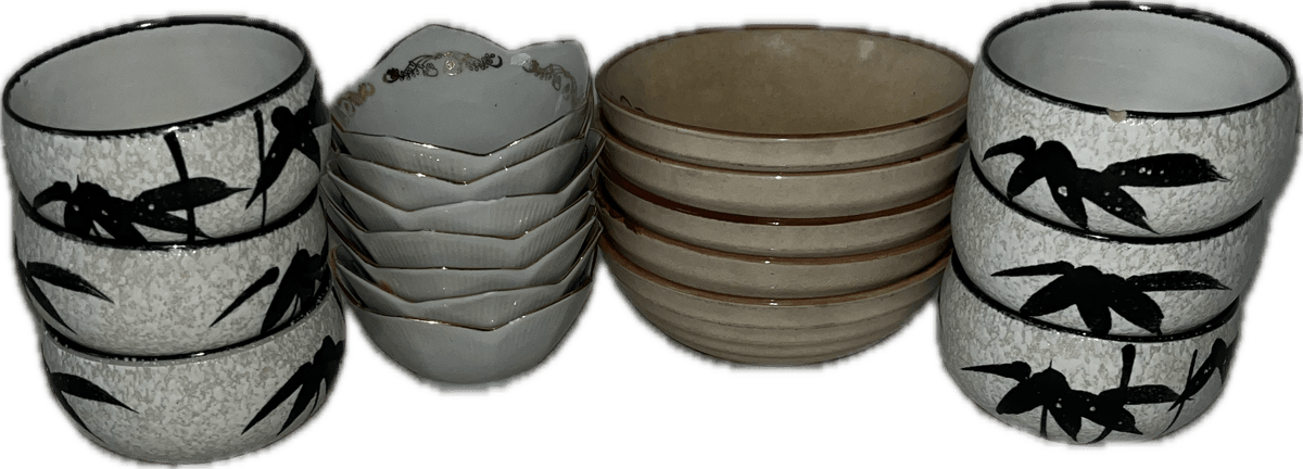Japanese Rice Bowls