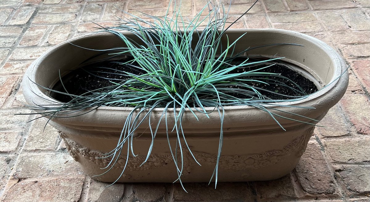 Plastic Flower Pot with Artificial Plant