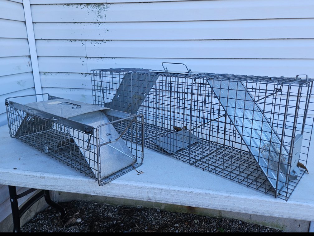 Havahart Live Animal Traps