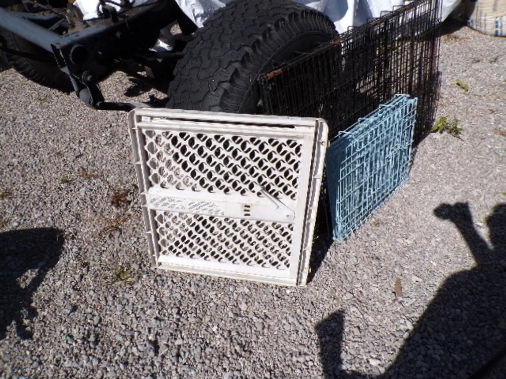 Lot 494