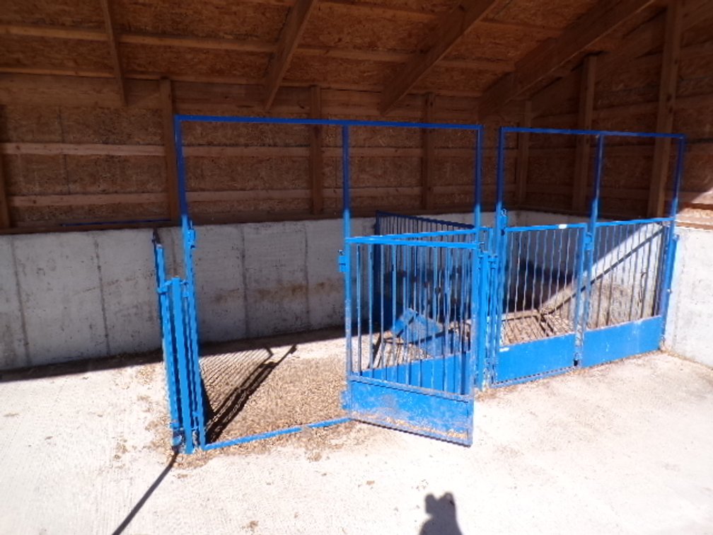 Lot 514