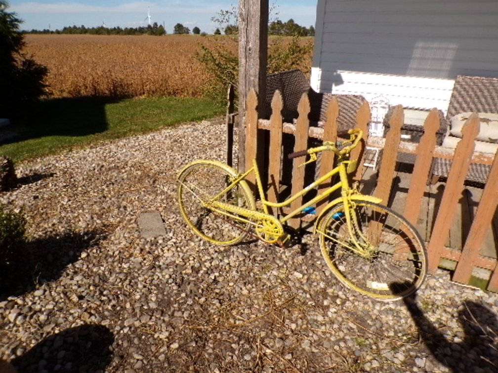 Lot 513
