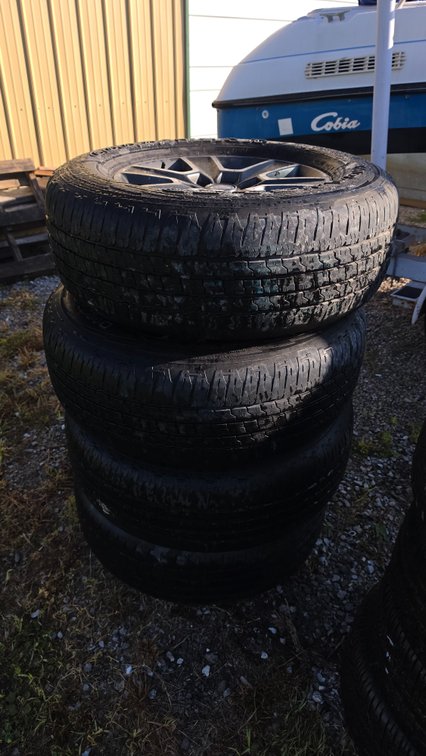 Lot 525