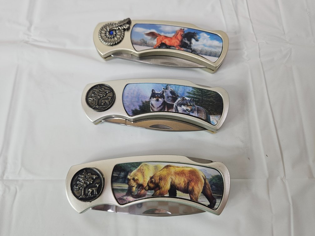 Folding Pocket Knife (3)